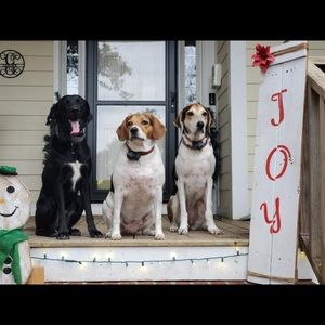 Meet your Posher, Pam